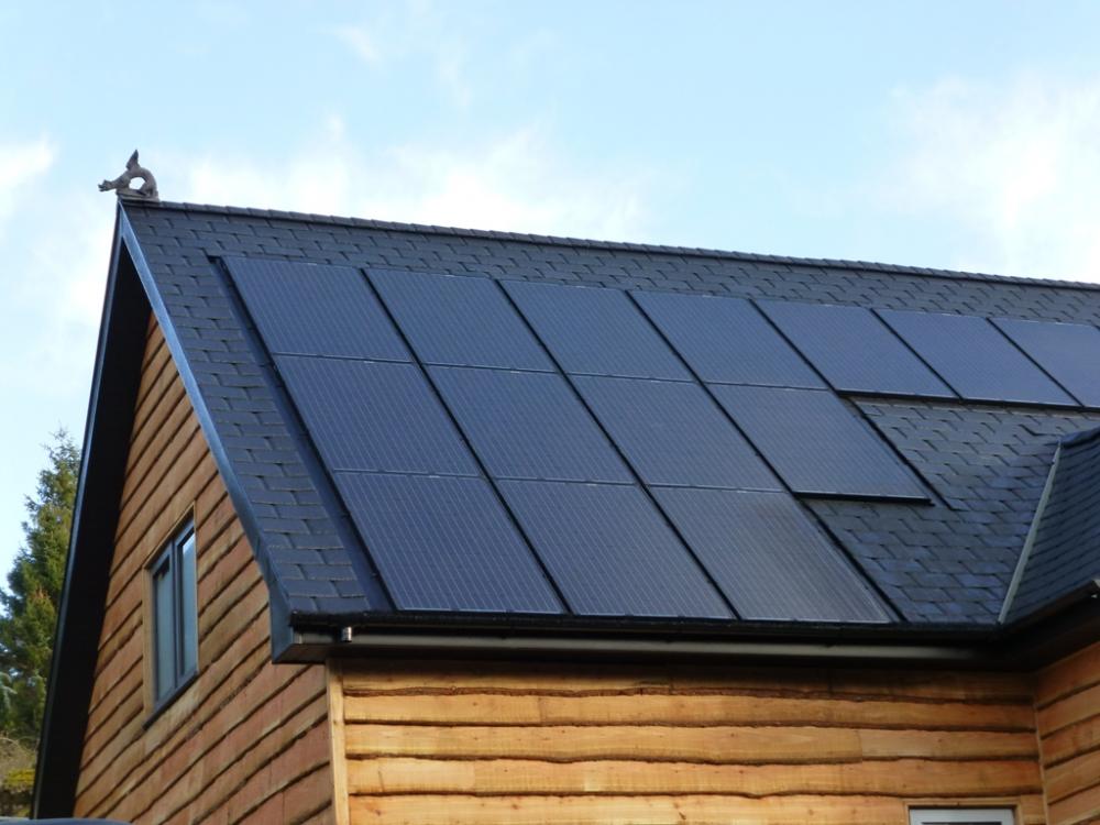 Solar panels.JPG