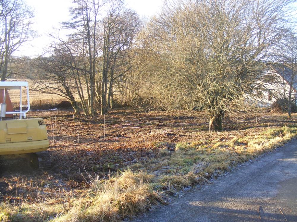 from road east.jpg