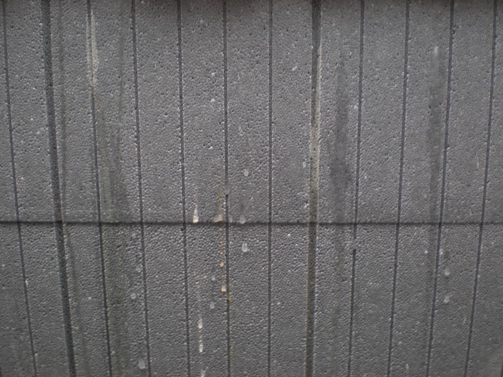 P5110065.JPG
