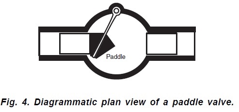Paddle.jpg