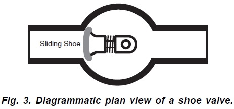 Shoe.jpg