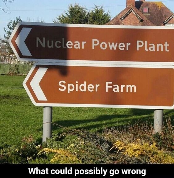 Spider.jpg