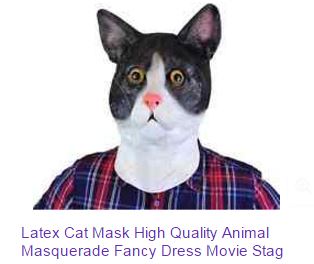 cat.JPG