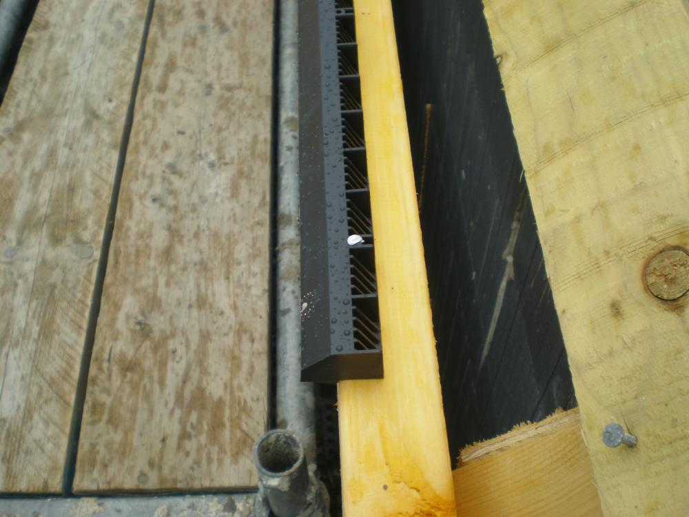 P5280005.JPG