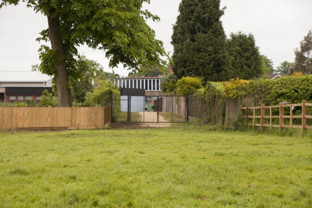 field gate.jpg