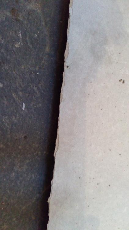 20161005_083205.jpg