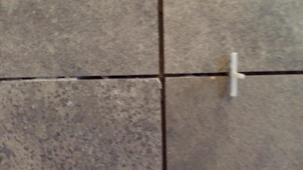 20161005_083248.jpg