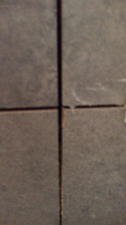 20161005_083531.jpg