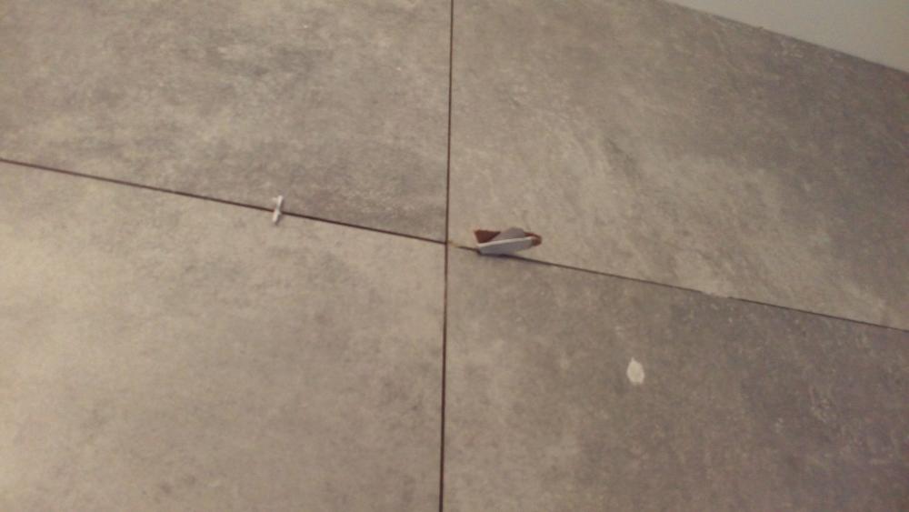 20161005_083541.jpg