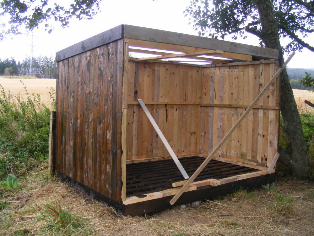 shed_3.jpg