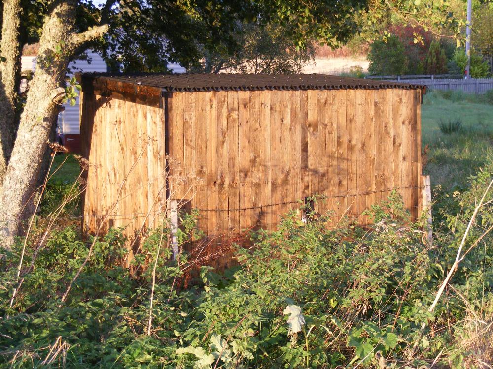 shed_6.thumb.jpg.50be126bb417b77a403a57104fcddfa1.jpg