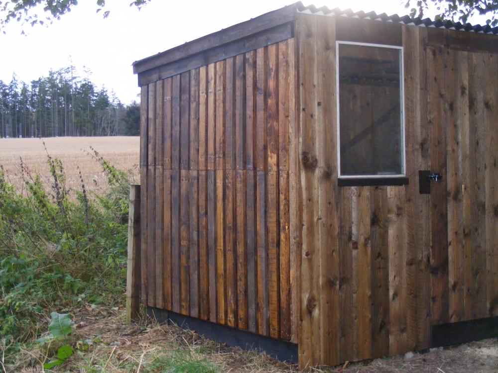shed_7.jpg