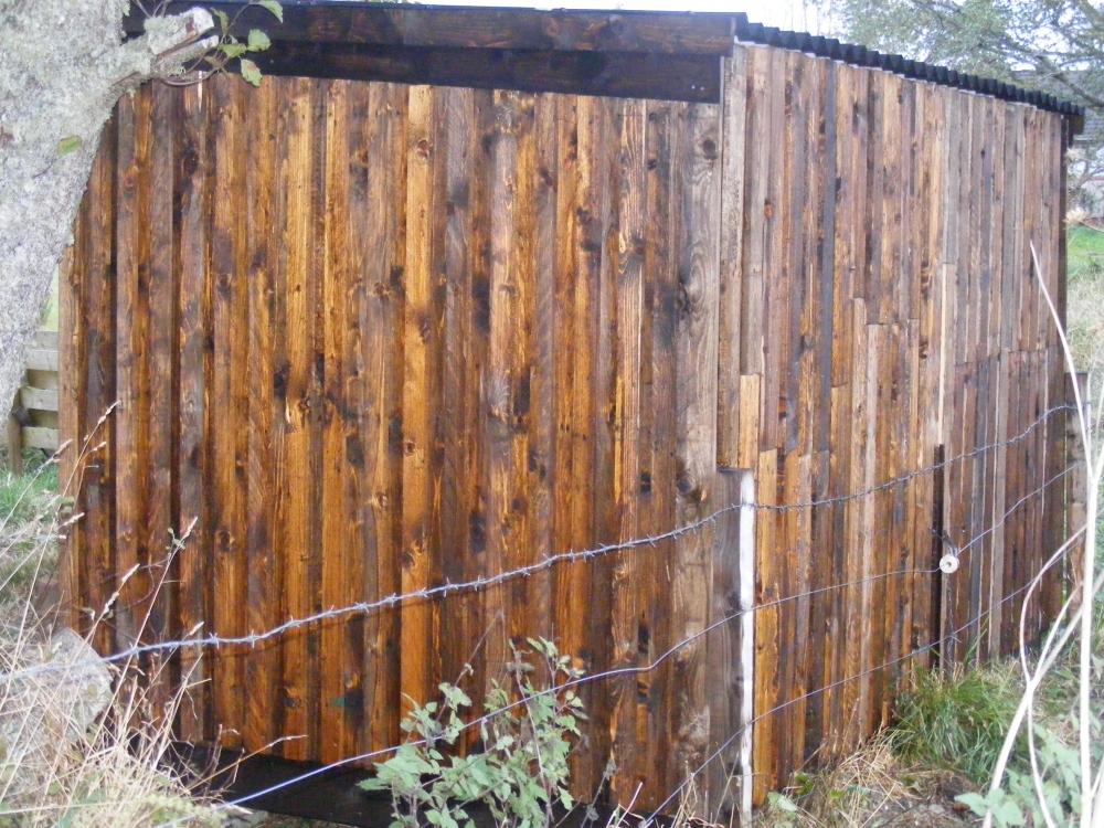 shed_8.jpg