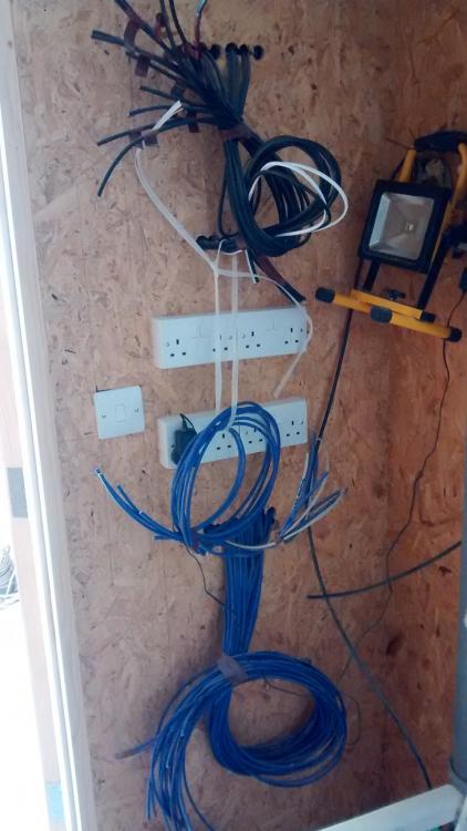 Cat6.jpg