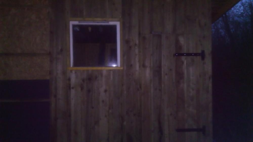 IMAG0493.jpg