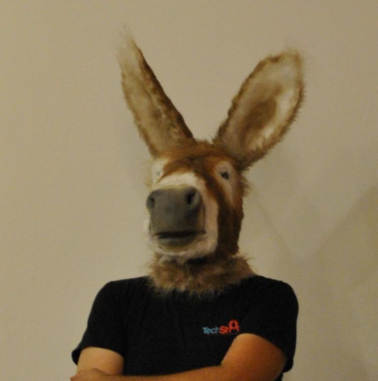 image.jpeg