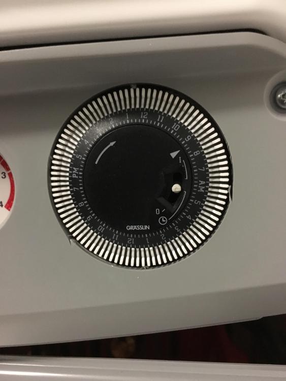 image.jpg
