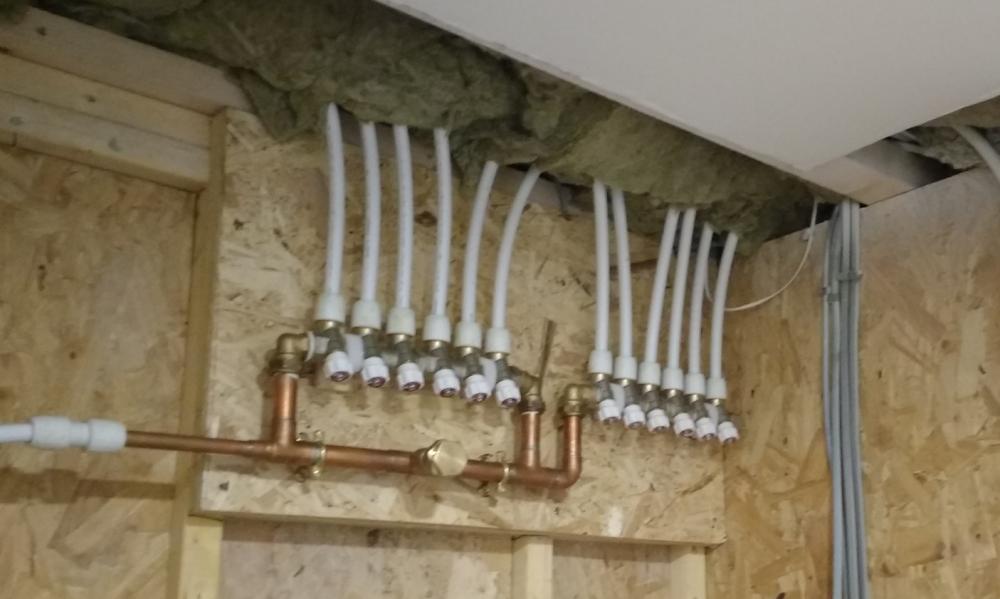 TE-HotManifolds.thumb.jpg.b966a1b17d02078573669e4266e9c224.jpg