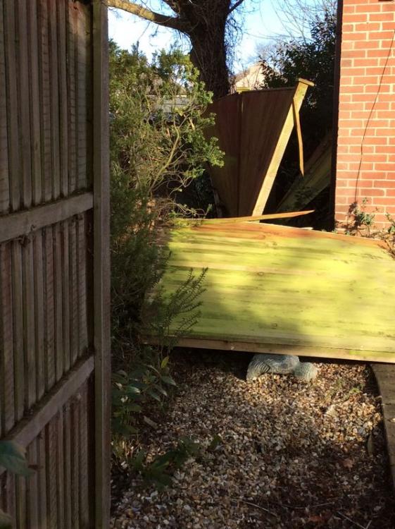 blown-down-fence.jpg