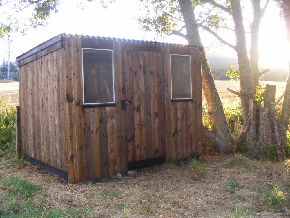 shed_5.jpg