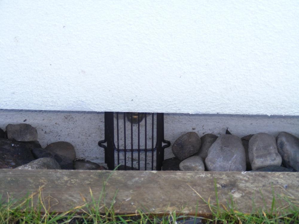 D2_cage.thumb.jpg.7204ff5354861db1d6ddb466a92a5993.jpg