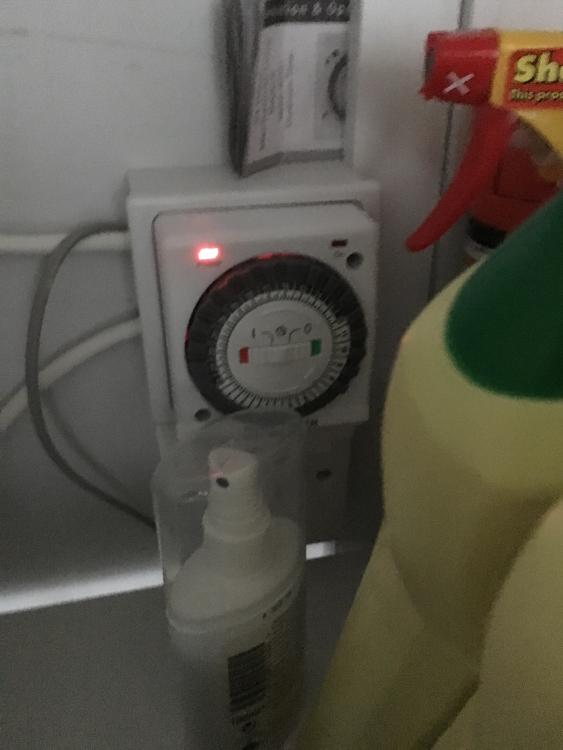 image.jpg