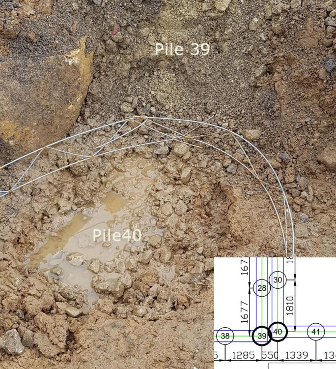 pile.thumb.jpg.2184ef7475e0ec30a4619ac1d5de97b8.jpg