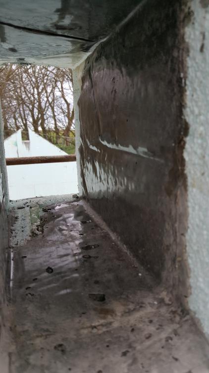 20170407_171815.jpg