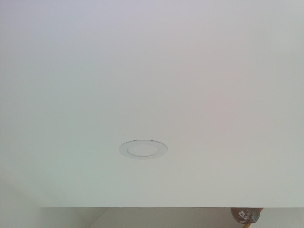 IMG_20170520_101018.thumb.jpg.ea7c805e34ebaa07b2776583b1cce82d.jpg