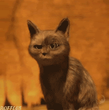 tumblr_ni8q3apbLv1ren8uoo1_250.gif.939aeac057b69cb35415e35e8539cce3.gif