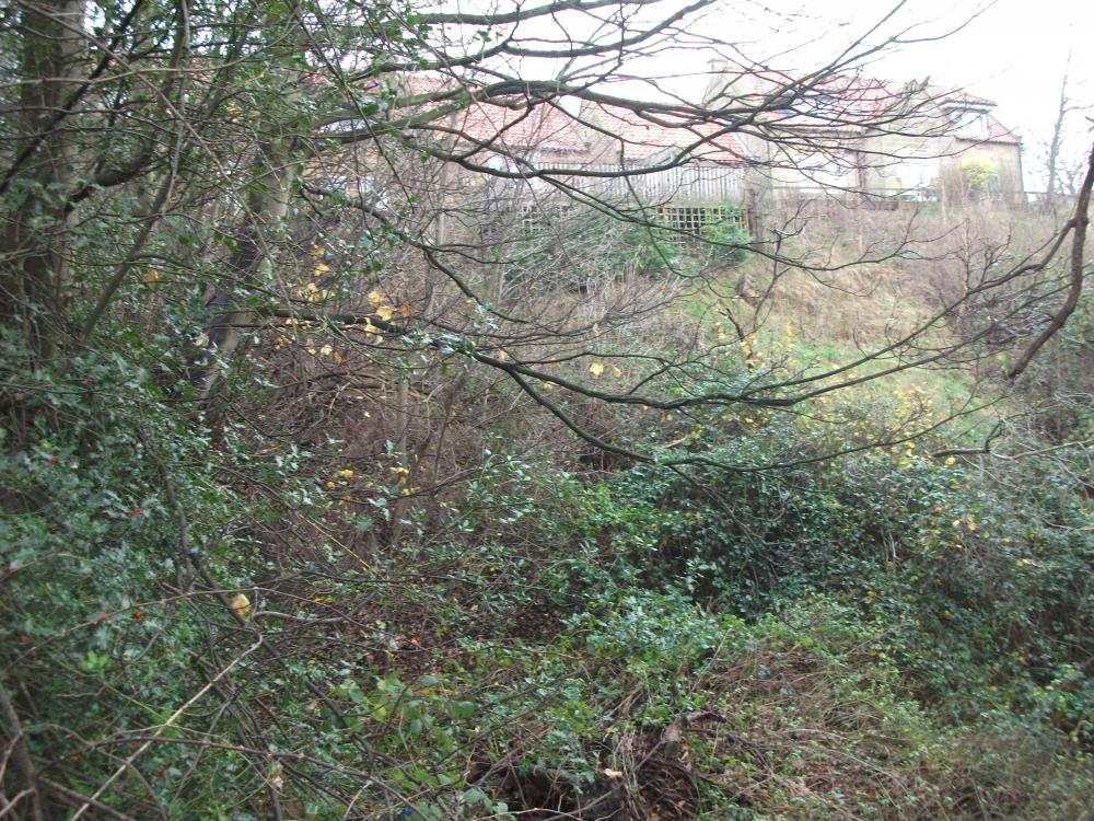 DSCF0428.JPG