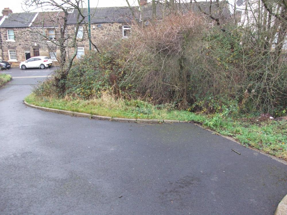 DSCF0430.JPG