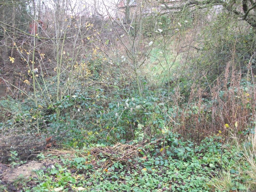 DSCF0441.JPG