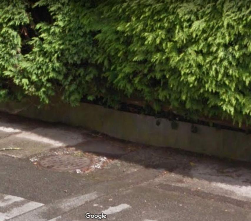 retaining-paving-slabs-2.thumb.jpg.98517f47c754d4156c68c0676323fc4e.jpg