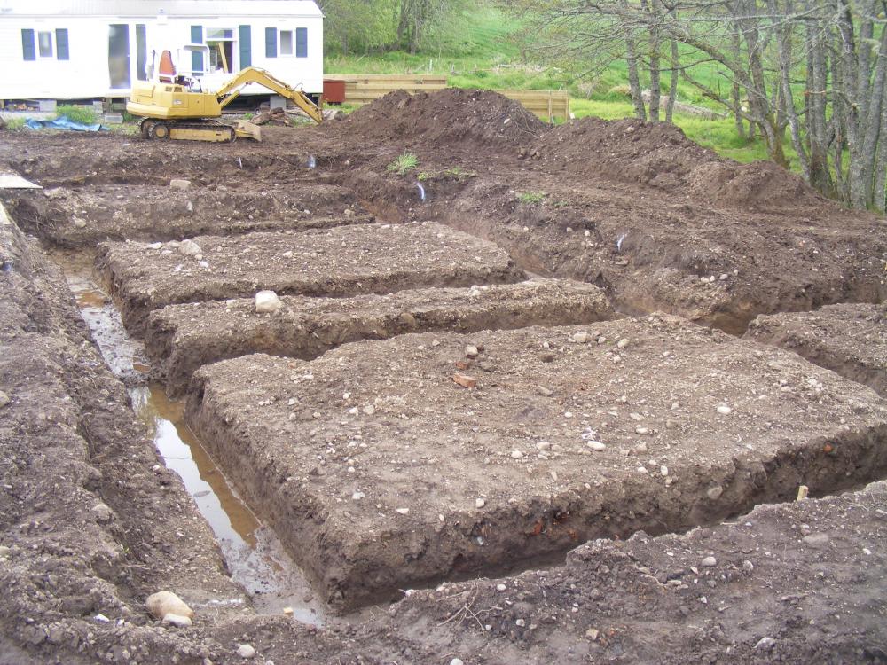trenches_1.thumb.jpg.f54c70fec4fb45f3a315070645176ea4.jpg
