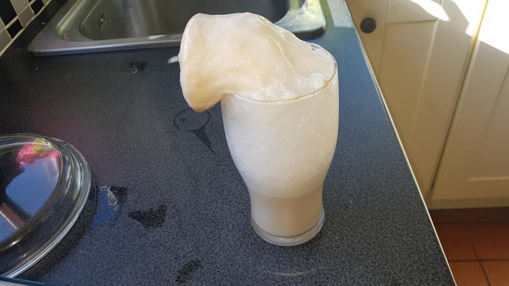 yeast.thumb.jpg.f4843577c4664acb9af9eb86554de540.jpg