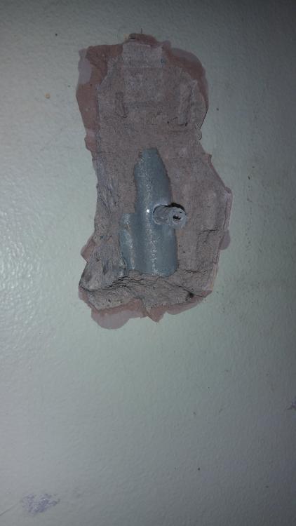 20180210_131413.thumb.jpg.fb85bccf36dcd40e63c5a926f56d387c.jpg
