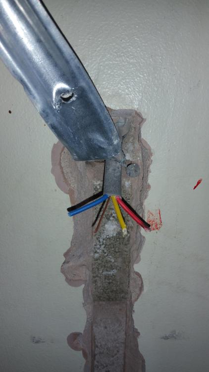 20180211_102921.thumb.jpg.c0a9de09b0db22c9d3497865933a6200.jpg