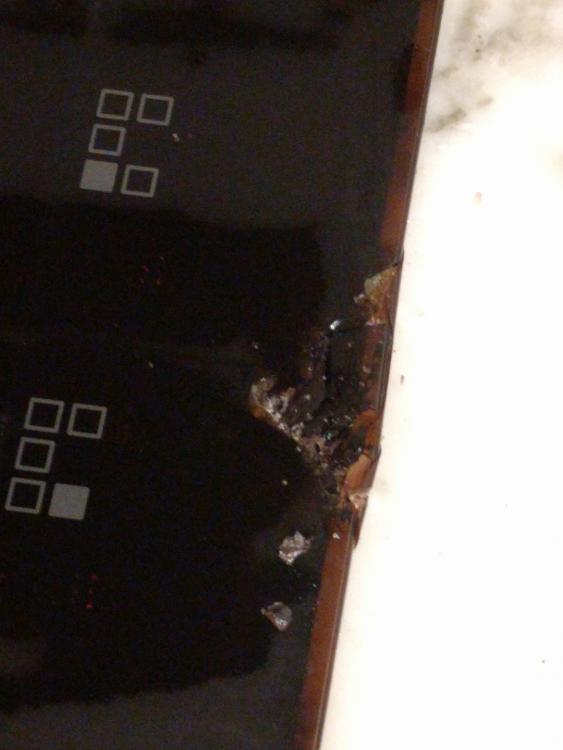 5aaadb2db26eb_Chip2.thumb.jpg.096152cf14d4005fd86bd981d7c232b0.jpg