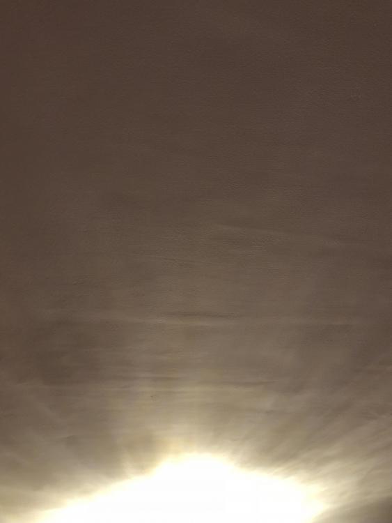 IMG_6064.thumb.JPG.acfb3d3f81dced647bfe45fc065c68ea.JPG