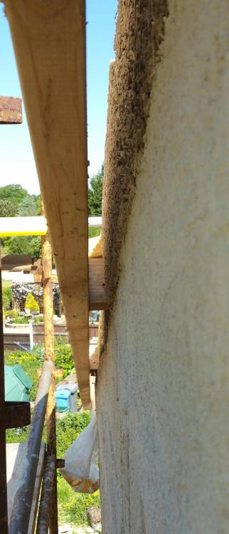 20180529_110555.thumb.jpg.e0c834bd3f0df4c7ad5b522c91af49c0.jpg