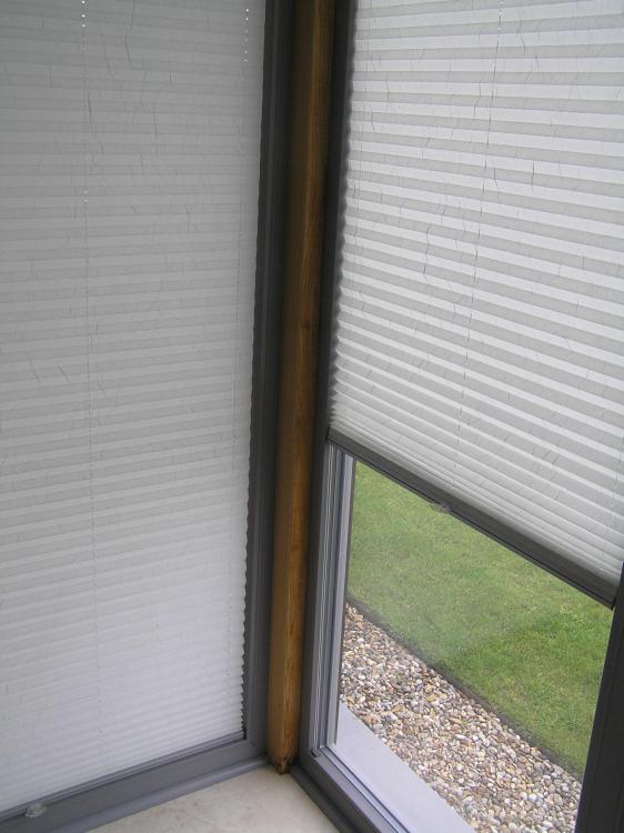 Plisse Blinds.JPG