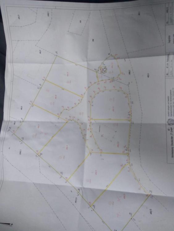 IMG-20180613-WA0005.jpg