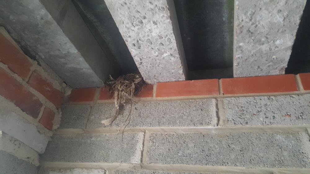 20180719_064244.jpg