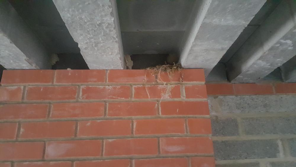 20180719_064257.jpg