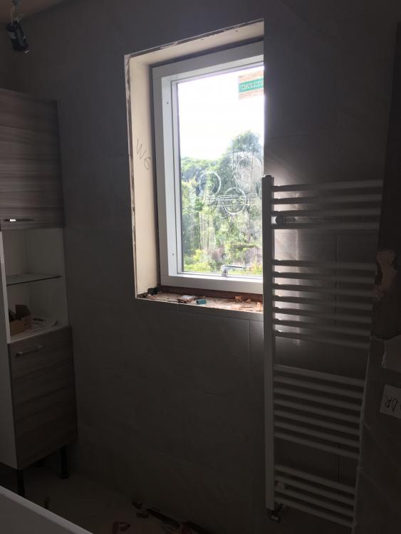 bathroom window 2.JPG