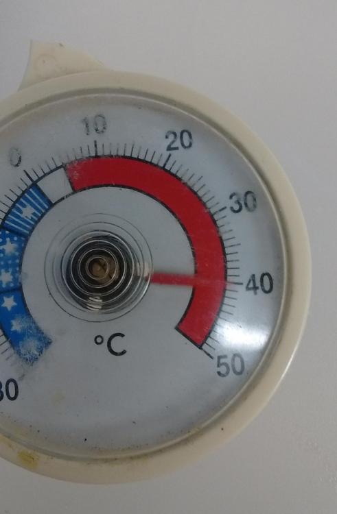 40 degrees.jpg