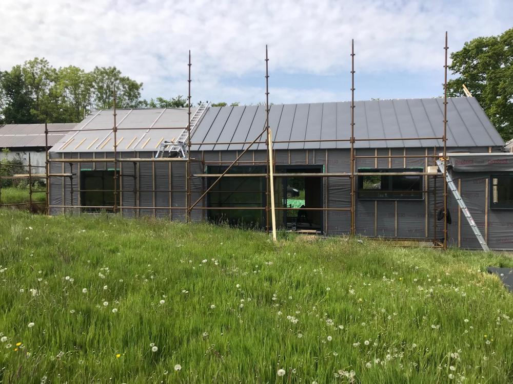 IMG_0502.jpg