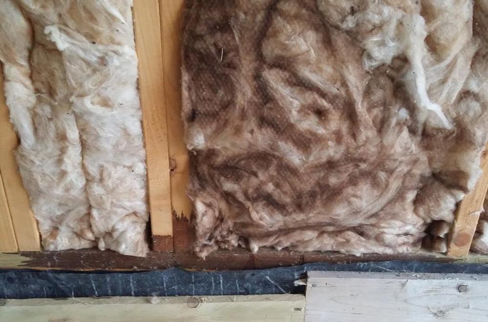damp_frame.thumb.jpg.99b8315b239c76cff8f6152f4b427034.jpg
