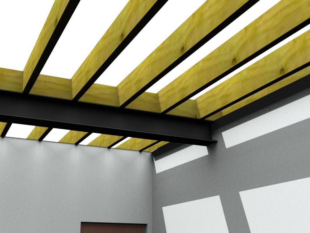 joists_proposal2.thumb.jpg.a3fc9a0f13a415ca88be88e85933e106.jpg